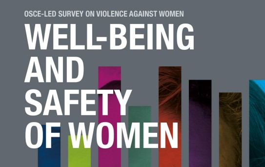 OSCE-led survey on violence against women - wellbeing and safety of women